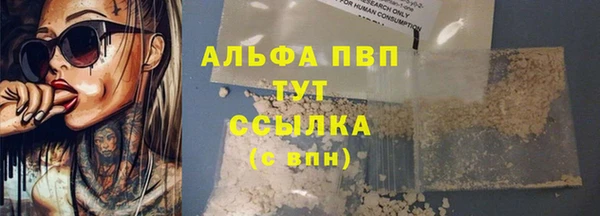 прущие грибы Наволоки