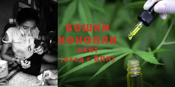 прущие грибы Наволоки