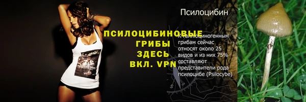 стаф Надым