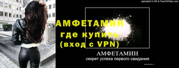 прущие грибы Наволоки