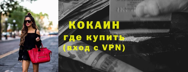 прущие грибы Наволоки