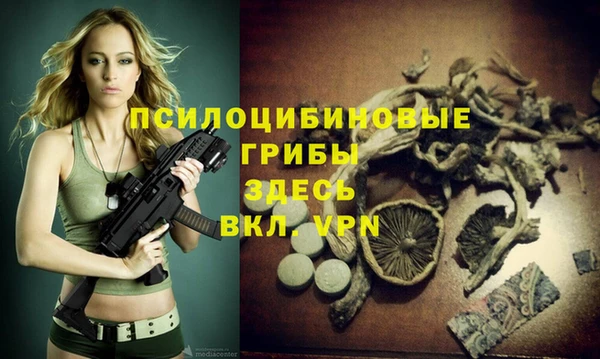 стаф Надым