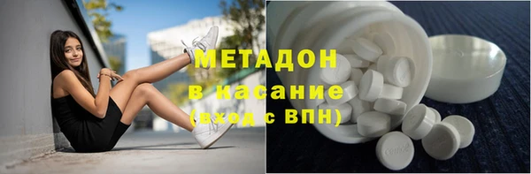 прущие грибы Наволоки