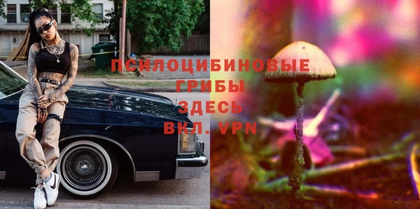 прущие грибы Наволоки