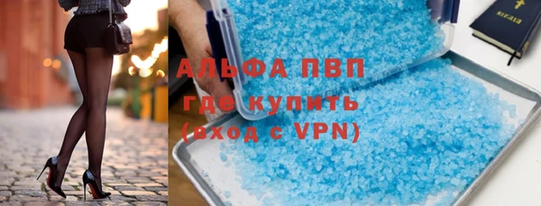 стаф Надым