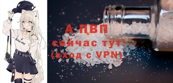 стаф Надым