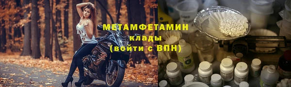 прущие грибы Наволоки