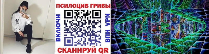 MEGA как зайти Хабаровск Галлюциногенные грибы прущие грибы где можно купить наркотик