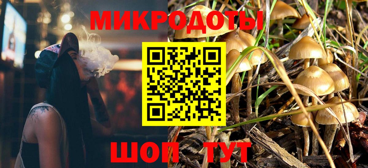 Хабаровск  Псилоцибиновые грибы Psilocybe  Вход с VPN 